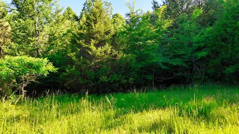 2 Lakewood Lake Ln, Huntingdon, TN 38344