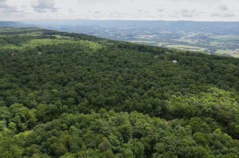 1 Maple Dr, Pikeville, TN 37367