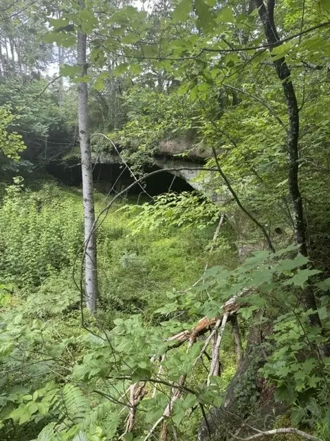 0 E Fork Ln, Crawford, TN 38554 photo 12