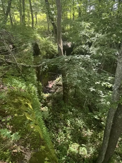 0 E Fork Ln, Crawford, TN 38554 photo 11