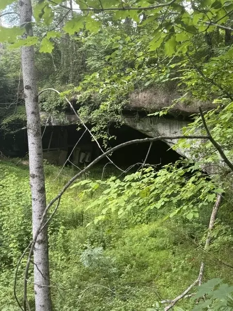 0 E Fork Ln, Crawford, TN 38554 photo 13