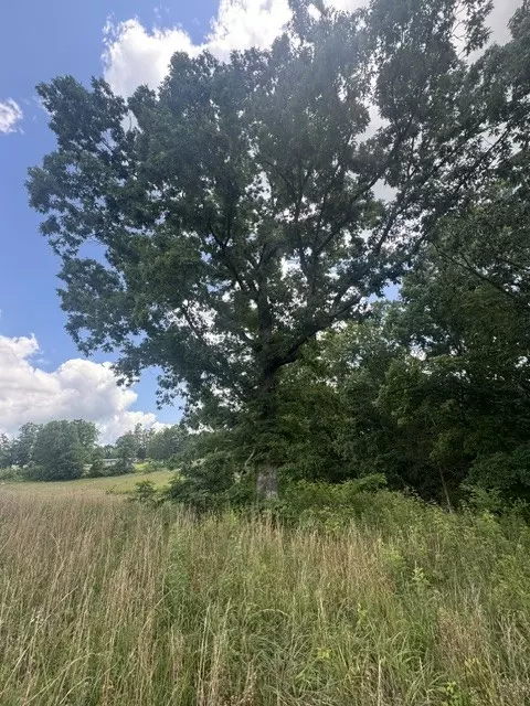 0 E Fork Ln, Crawford, TN 38554 photo 16
