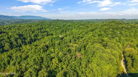1717 Long Branch Rd, Seymour, TN 37865