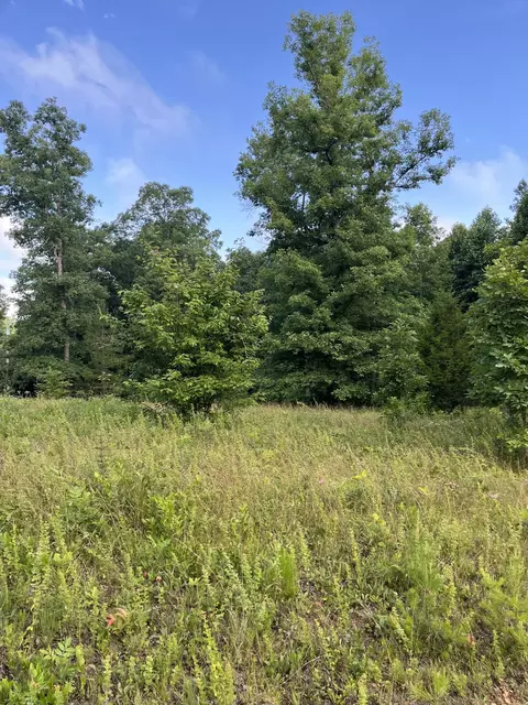0 Henley Dr, Altamont, TN 37301