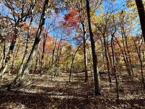 0 Harrison Ferry Rd, Mcminnville, TN 37110