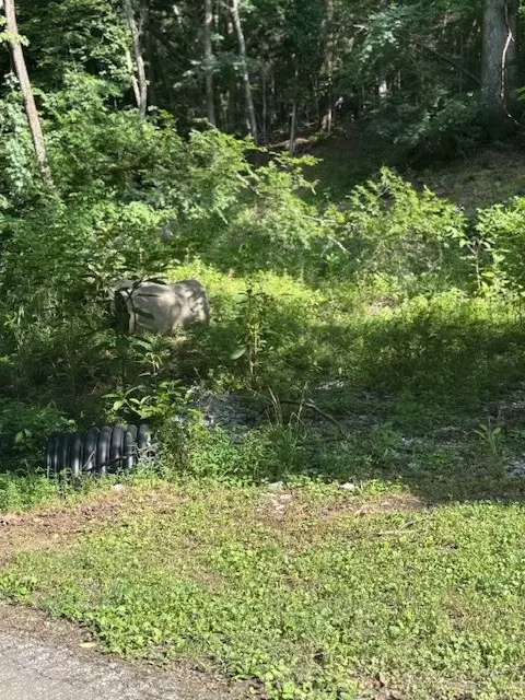 0 Seymour Hollow Rd, Whites Creek, TN 37189