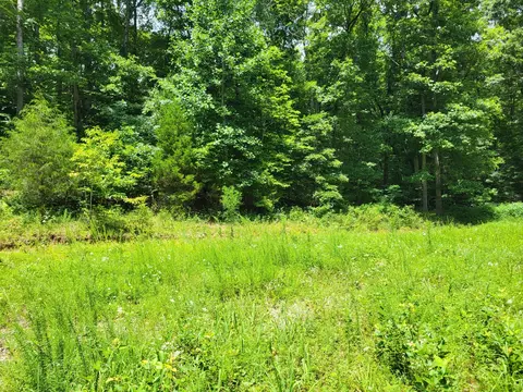1 Mt Carmel Rd, Mosheim, TN 37818
