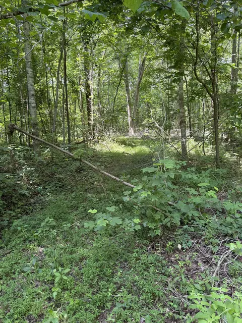 0 Wilderness Ln, Lafayette, TN 37083