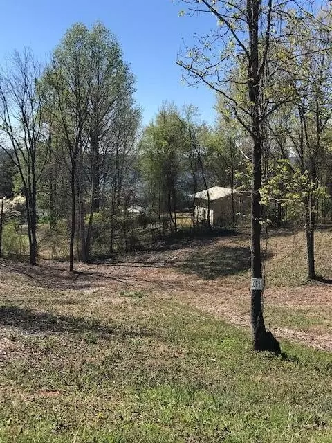 11 Piney View Dr, Spring City, TN 37381