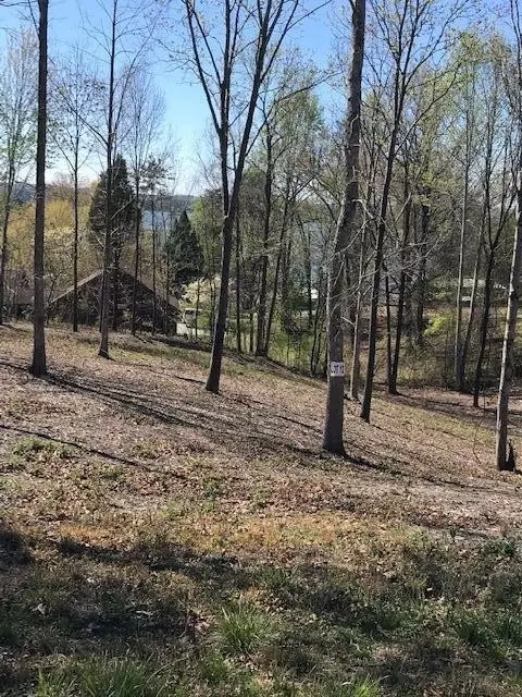 12 Piney View Dr, Spring City, TN 37381