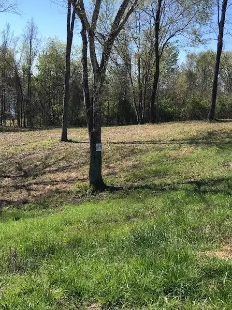 10 Piney View Dr, Spring City, TN 37381