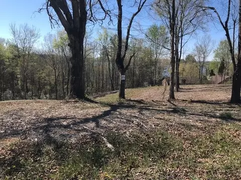 14 Piney View Dr, Spring City, TN 37381