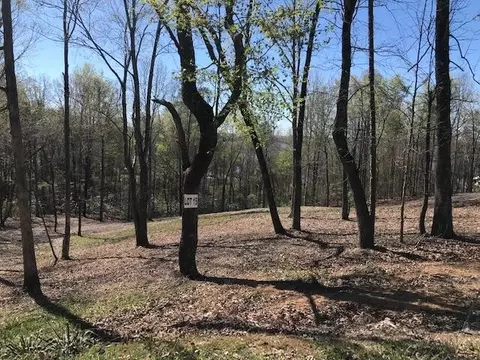 15 Piney View Dr, Spring City, TN 37381