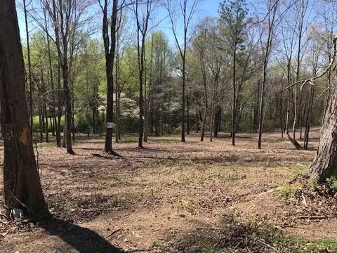 17 Piney View Dr, Spring City, TN 37381