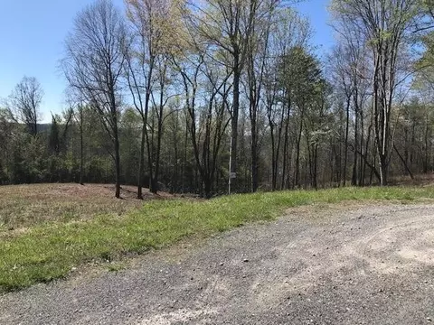 9 Piney View Dr, Spring City, TN 37381