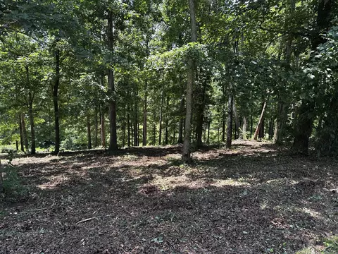 196 Fairway Cir, Loretto, TN 38469 photo 4