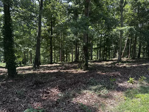 196 Fairway Cir, Loretto, TN 38469 photo 3