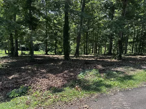 196 Fairway Cir, Loretto, TN 38469 photo 2