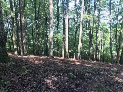 25 Piney Knob Dr, Spring City, TN 37381