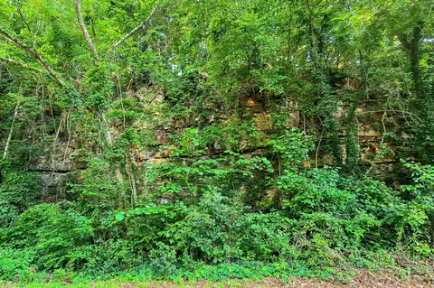 Other - 8157 Highway 49 E, Springfield, TN 37172 photo 10 of 14