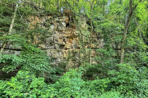 Other - 8157 Highway 49 E, Springfield, TN 37172 photo 8 of 14
