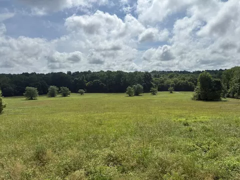 8033 Roberson Cemetery Rd, Iron City, TN 38463