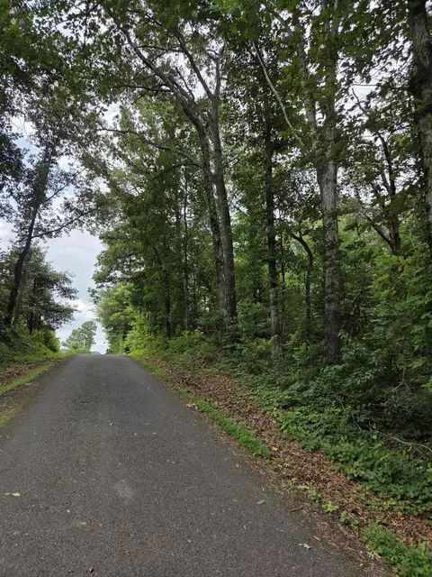 0 Co Rd 156, Riceville, TN 37370
