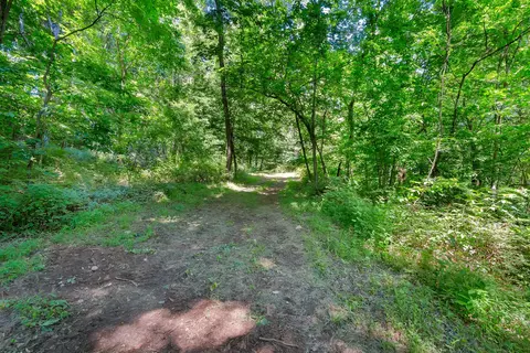 0 Wolf Hill Rd, Bethpage, TN 37022 photo 11