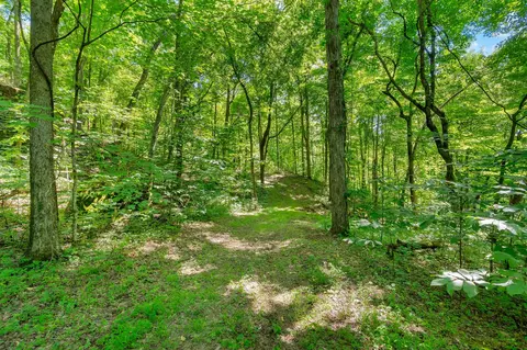 0 Wolf Hill Rd, Bethpage, TN 37022 photo 10