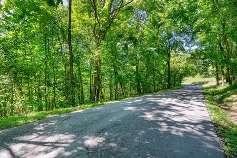 0 Wolf Hill Rd, Bethpage, TN 37022 photo 9