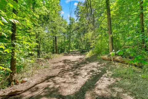 0 Wolf Hill Rd, Bethpage, TN 37022 photo 3