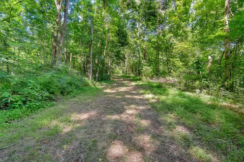 0 Wolf Hill Rd, Bethpage, TN 37022 photo 17