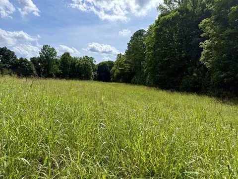 Other - 59 Hardin Loop, Westpoint, TN 38486 photo 14 of 25