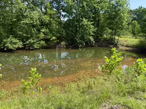 View/Area - 59 Hardin Loop, Westpoint, TN 38486 photo 2 of 12
