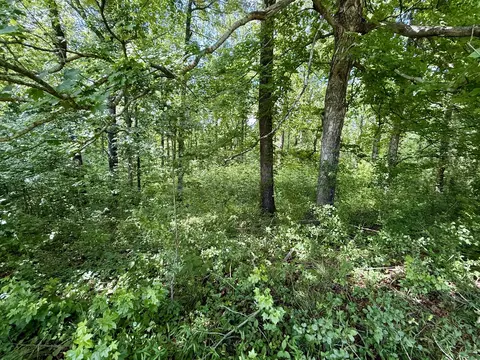 Exterior - 59 Hardin Loop, Westpoint, TN 38486 photo 17 of 22