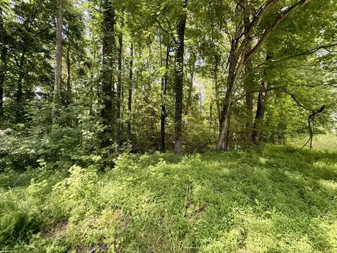 Exterior - 59 Hardin Loop, Westpoint, TN 38486 photo 19 of 22