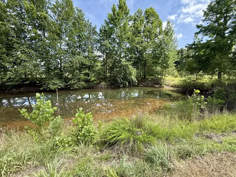 View/Area - 59 Hardin Loop, Westpoint, TN 38486 photo 3 of 12