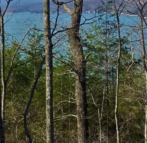 1 Branham Rd, Ten Mile, TN 37880