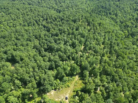 0 Black Bear Trail Rd, Linden, TN 37096