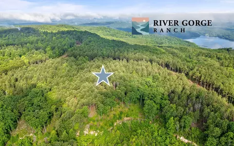 2142 Top Shelf St, Guild, TN 37340