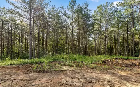 2142 Top Shelf St, Guild, TN 37340 photo 19