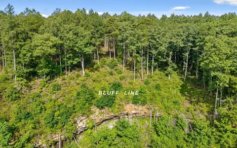 2142 Top Shelf St, Guild, TN 37340 photo 3