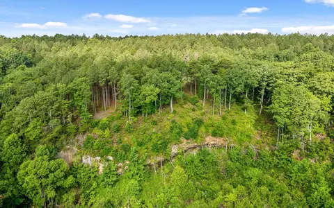 2142 Top Shelf St, Guild, TN 37340 photo 9