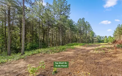 2142 Top Shelf St, Guild, TN 37340 photo 14
