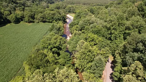 520 Bluff Rd, Loretto, TN 38469 photo 3