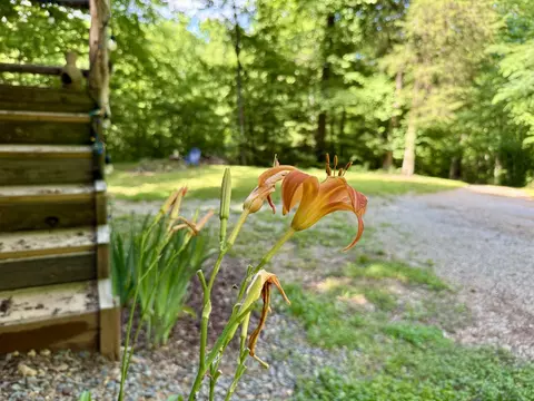520 Bluff Rd, Loretto, TN 38469 photo 7