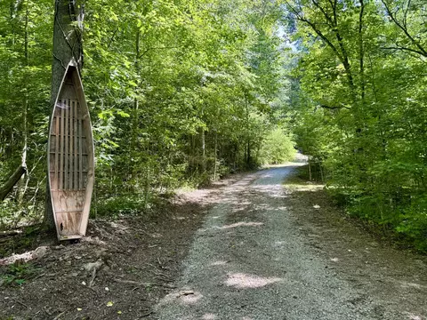 520 Bluff Rd, Loretto, TN 38469 photo 19