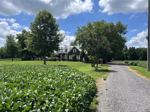 3501 W Highway 21, Hornbeak, TN 38232