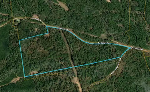 0 Arl Bailey Rd, Finger, TN 38334
