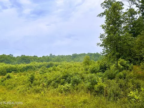 1344 Chestnut Ridge Rd, Allardt, TN 38504